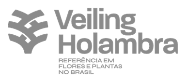 Veiling Holambra